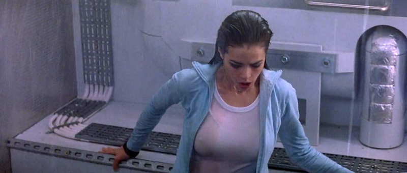 800px x 340px - Denise Richards See Through Nipples in 'The World Is Not ...