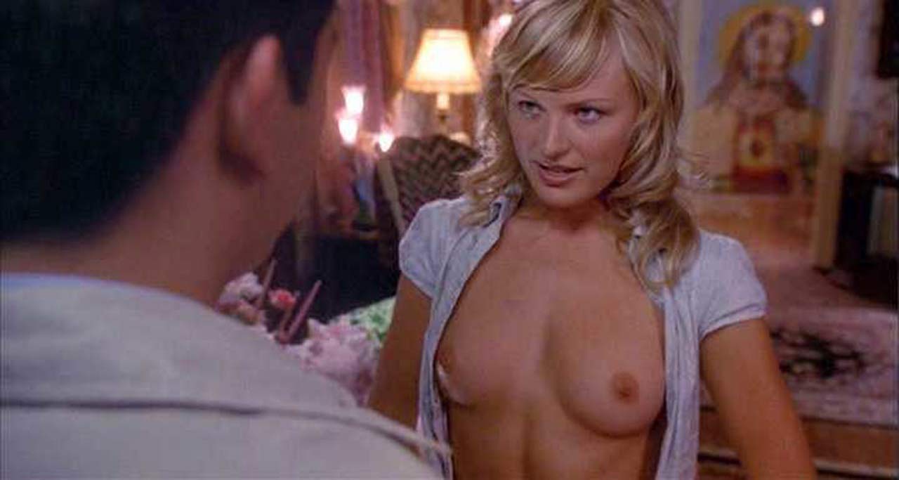Malin Akerman Boobs in Harold and Kumar Go To White Castle hq image