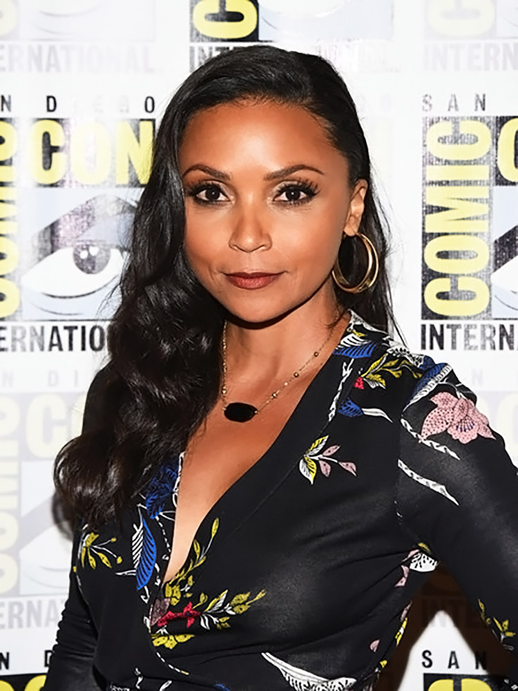Danielle Nicolet sexy on the red carpet.