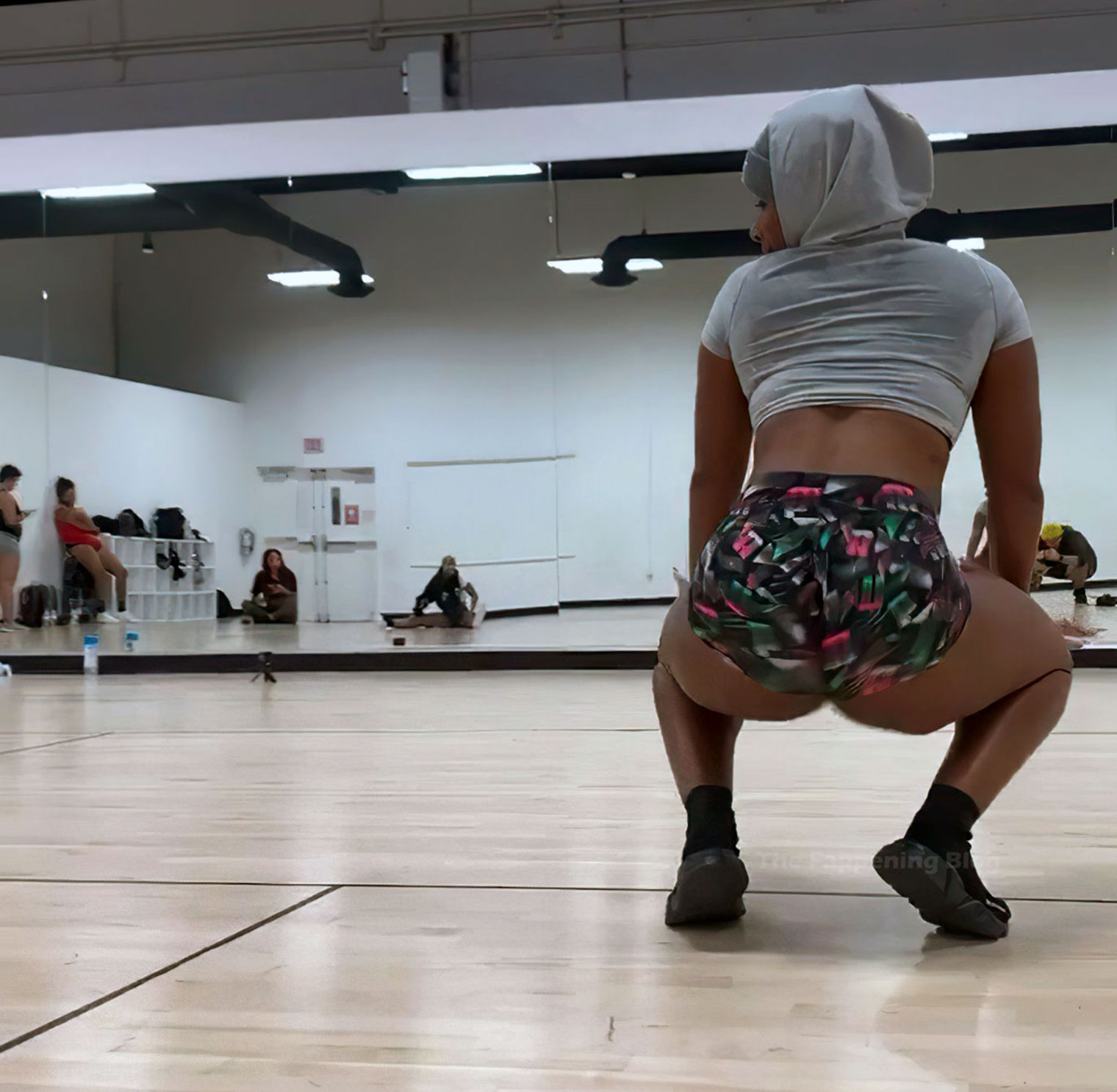 Megan Thee Stallion Ass - Pics from Twerking Video.